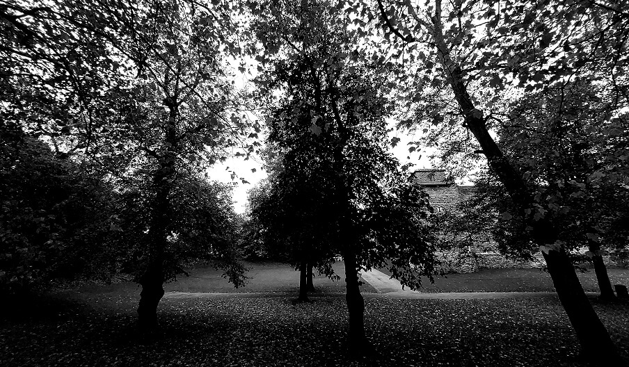 a black and white images of the north east corner of Colchester castle seen through the trees